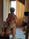   , , +7 (932) 019-6276
